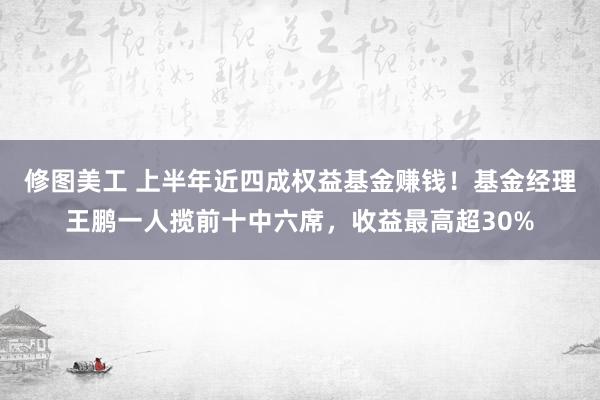 修图美工 上半年近四成权益基金赚钱！基金经理王鹏一人揽前十中六席，收益最高超30%