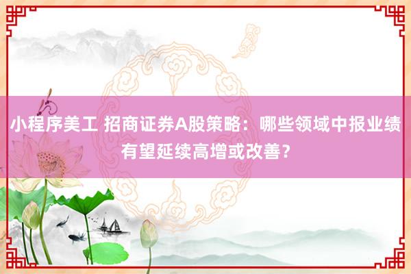 小程序美工 招商证券A股策略：哪些领域中报业绩有望延续高增或改善？