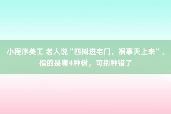 小程序美工 老人说“四树进宅门，祸事天上来”，指的是哪4种树，可别种错了